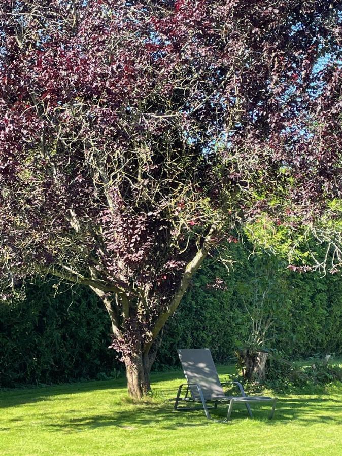 B&B Haus Kristal Walsdorf  Dış mekan fotoğraf