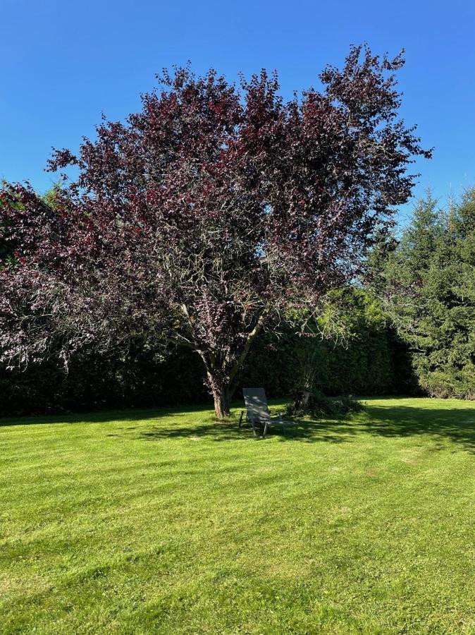 B&B Haus Kristal Walsdorf  Dış mekan fotoğraf