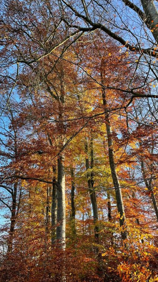 B&B Haus Kristal Walsdorf  Dış mekan fotoğraf